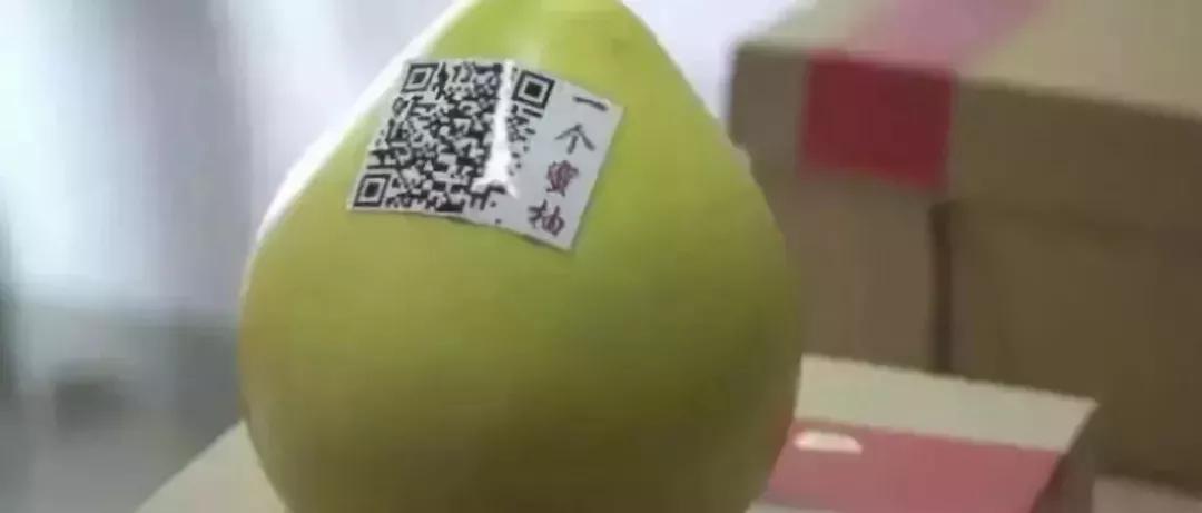 超拼视频购丨直播黑科技,90后“新农人”这样玩转果园