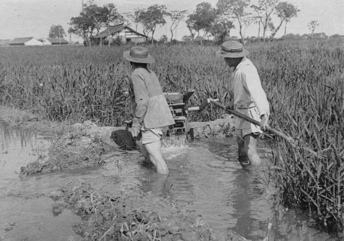 一落魄台籍老农回乡,中组部严肃调查:恢复*党**籍,享受干部待遇