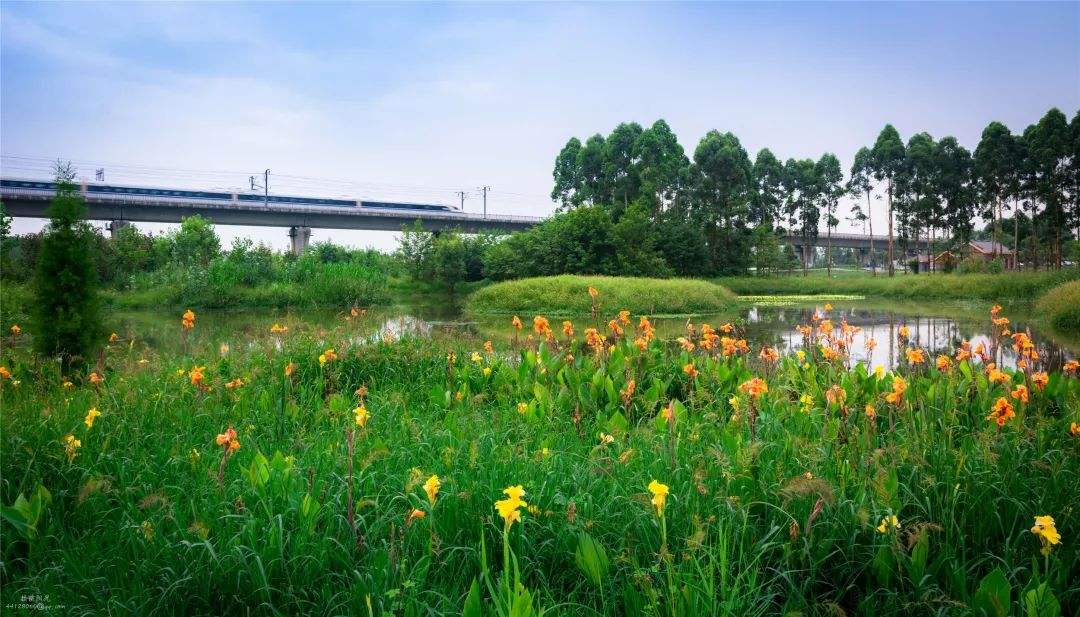 新津凡尔赛,成都新津凡尔赛