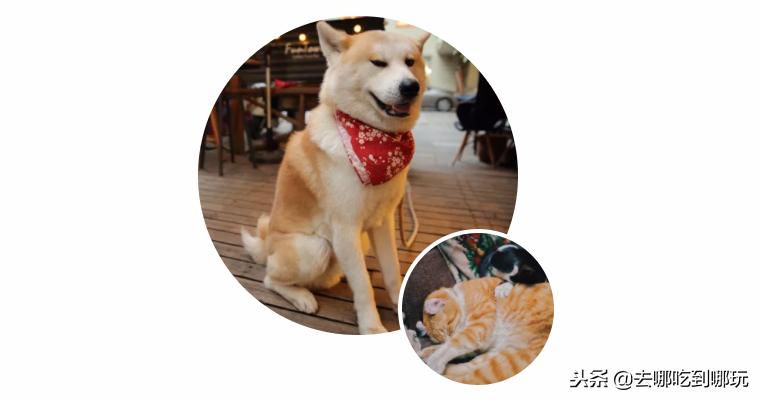 39.9抢昆明方堂咖啡二人套餐选一隅安逸的休憩地感受生活之美