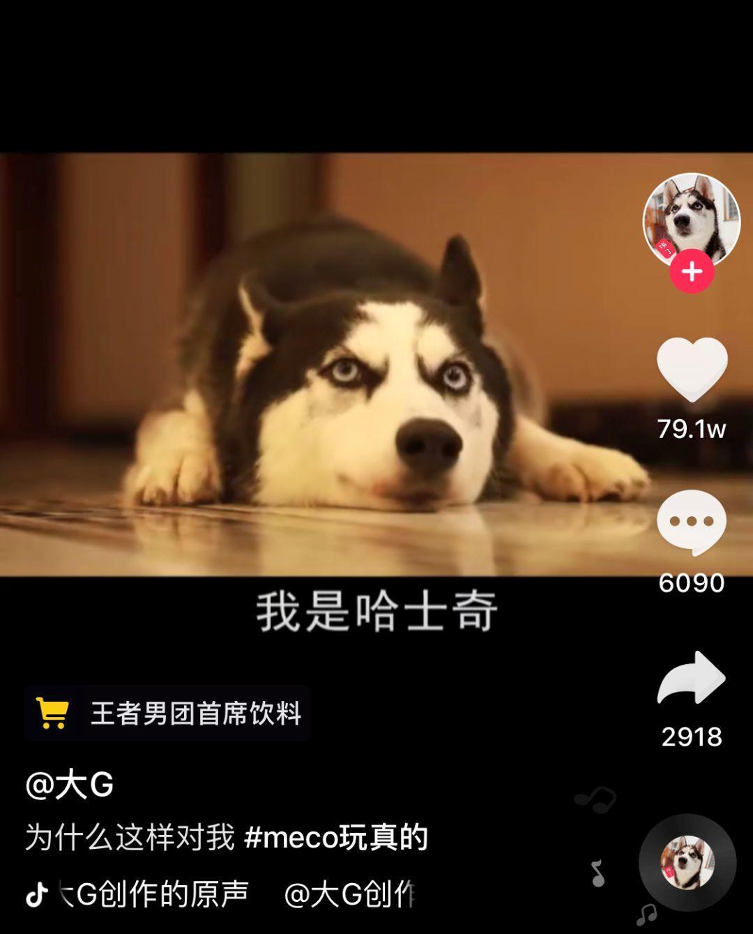 抖音快速涨粉玩法,抖音快速涨粉攻略