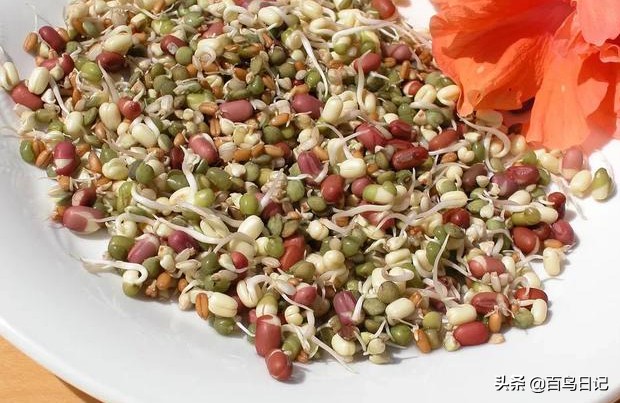 鸟肠胃不好怎么治疗最好,鸟肠道寄生虫怎么治疗