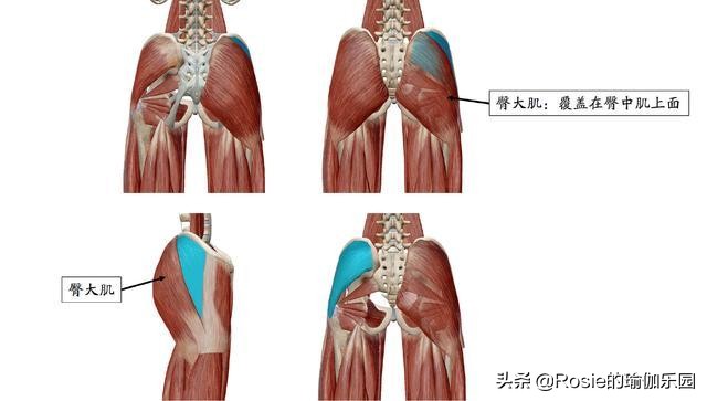 臀侧凹陷穿衣丑更显老,臀凹陷假胯宽怎么穿搭