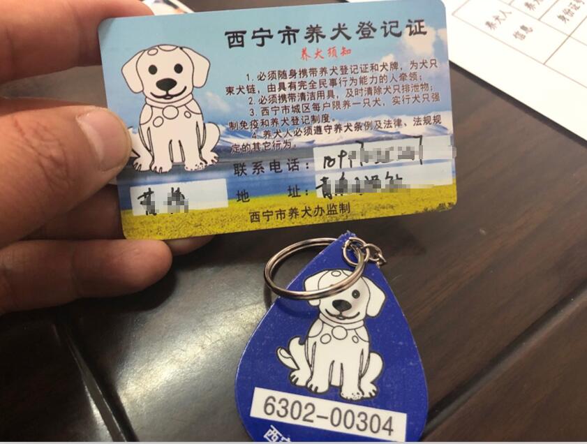 西宁城东区狗证怎么办理,狗狗有身份证视频