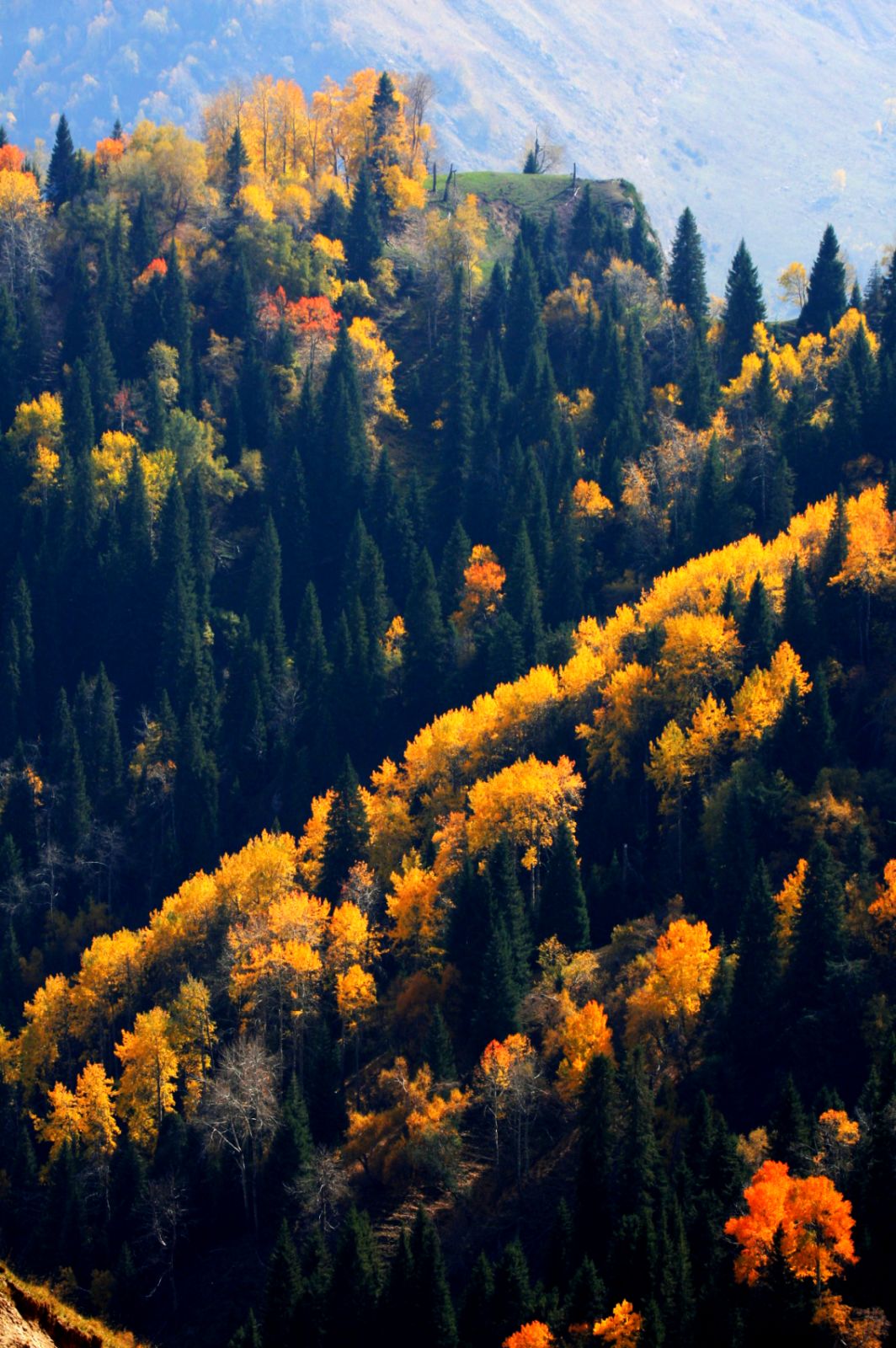 伊犁最美的50处绝色美景,伊犁最美的小众景点