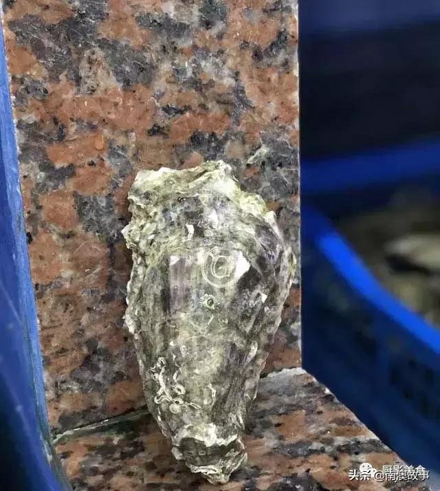 水煮贝壳类海鲜煮多久,海边海鲜用什么水煮好吃