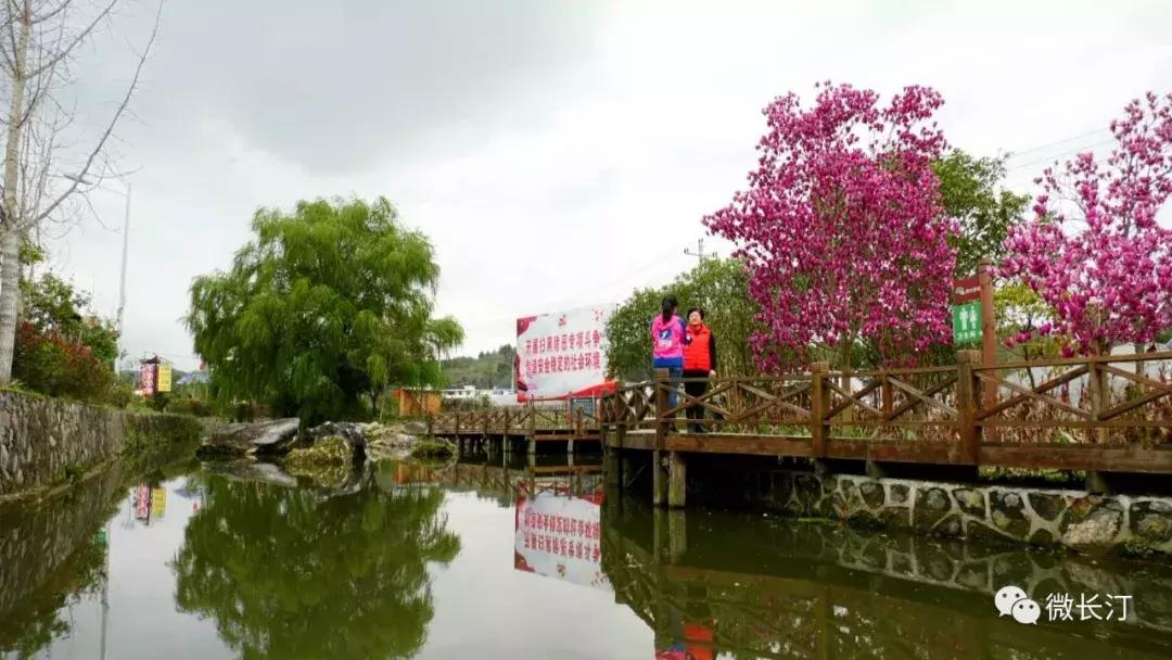 沈腾乡村振兴,长汀策武乡村振兴