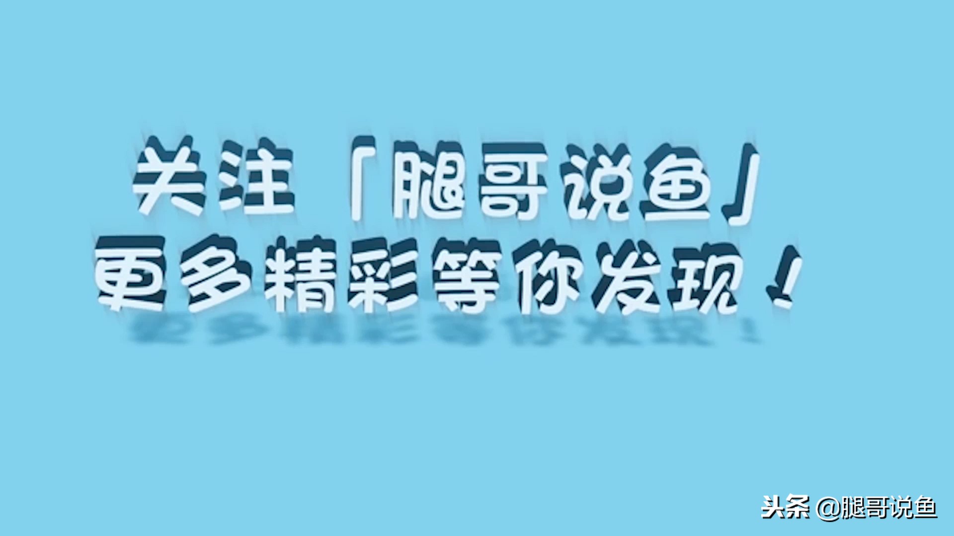 养观赏鱼缸底脏怎么清理方便,鱼缸沙子清洁