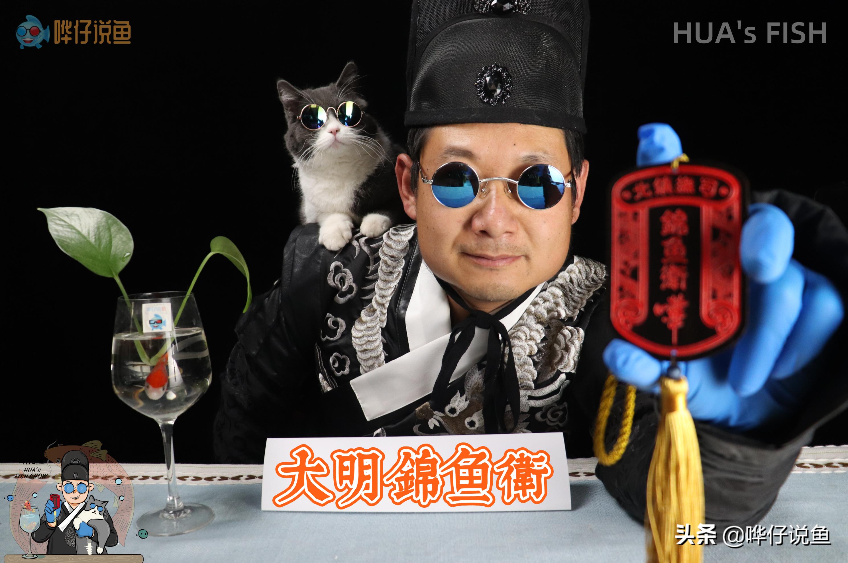 鱼缸外加滤桶好吗,鱼缸需要滤桶吗