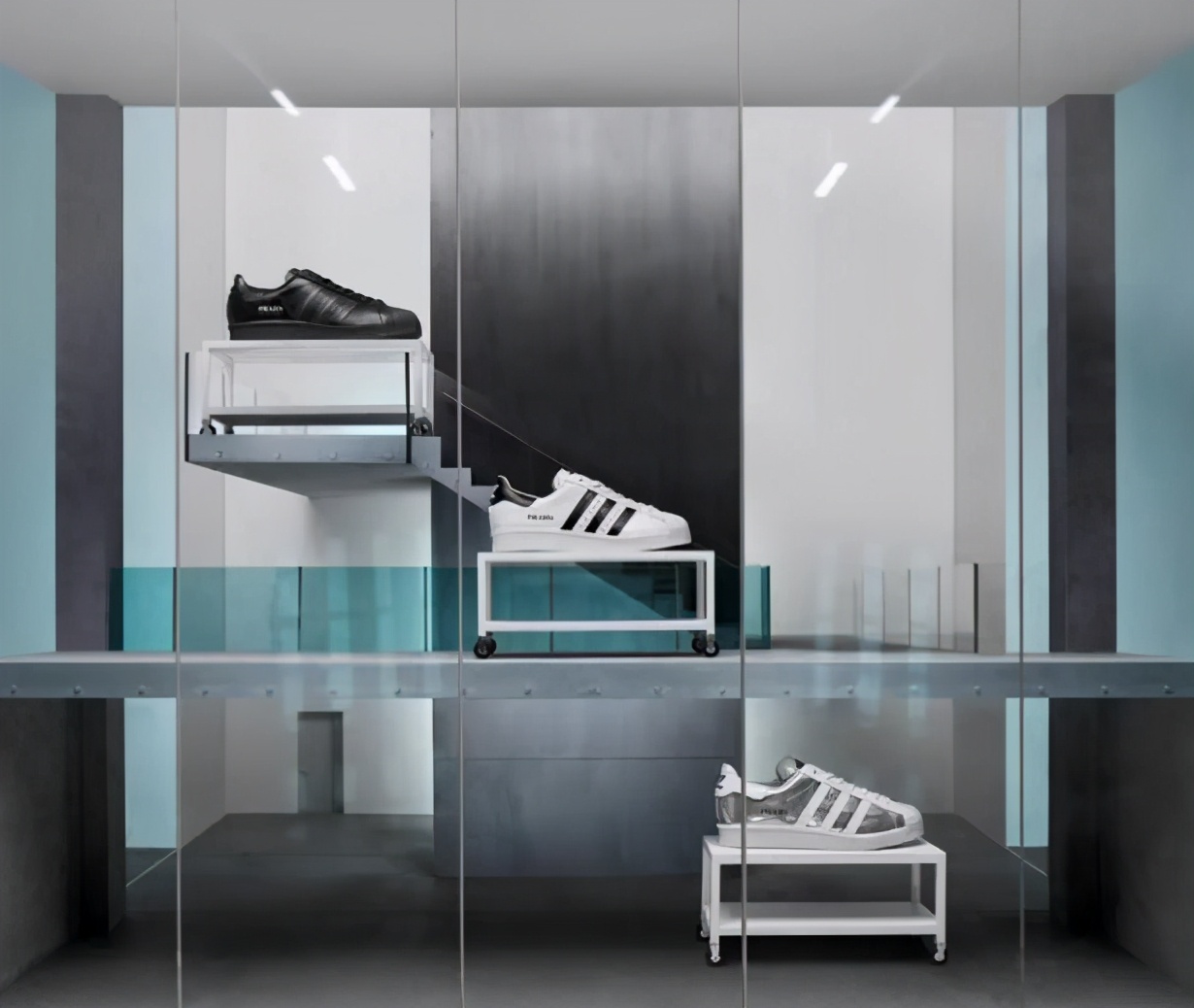 贝壳头又要抢钱了!这次又是明星又是彩虹,真真是招架不住