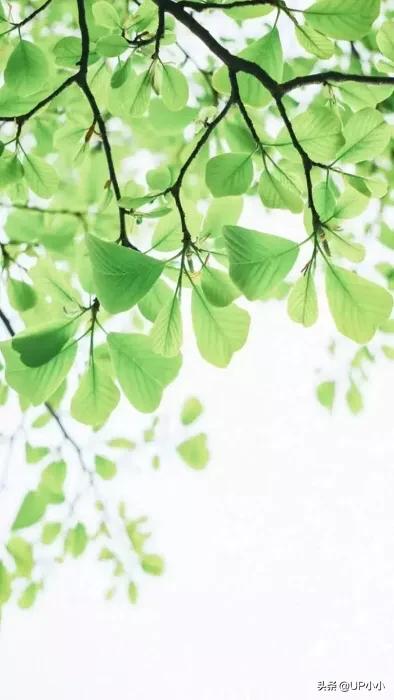 你怎样生活完全由你自己决定,生活状态怎么发朋友圈