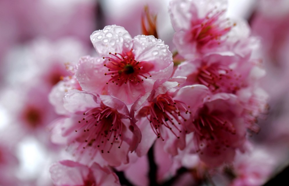 春雨江苏东台,春雨江苏无锡