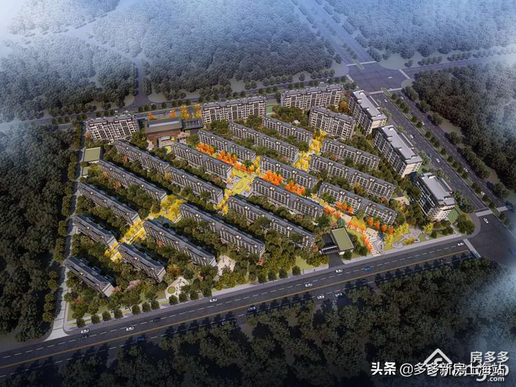 临港新片区在售楼盘实景,临港新盘