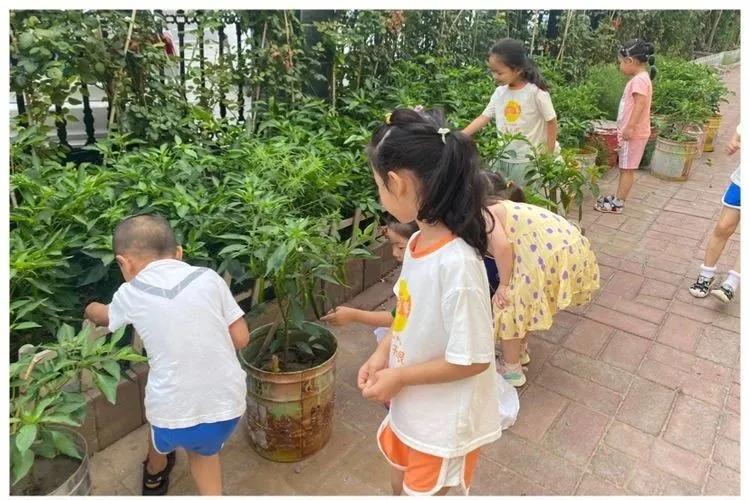 邯郸复兴区第一幼儿园环境,邯郸复兴区第一幼儿园是公立的吗