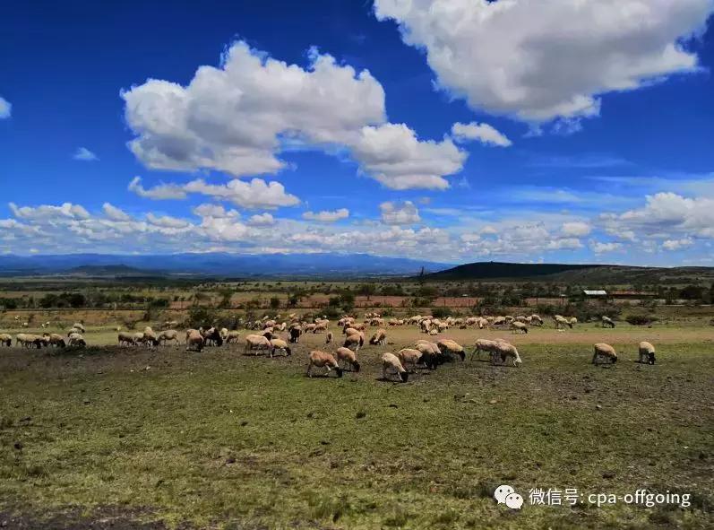 这个野奢的国度，欧美、日韩人都爱去，为何我们国家没人去？