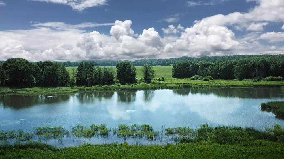 关于喜宝纯境的自然奥秘有哪些,喜宝纯境体验馆