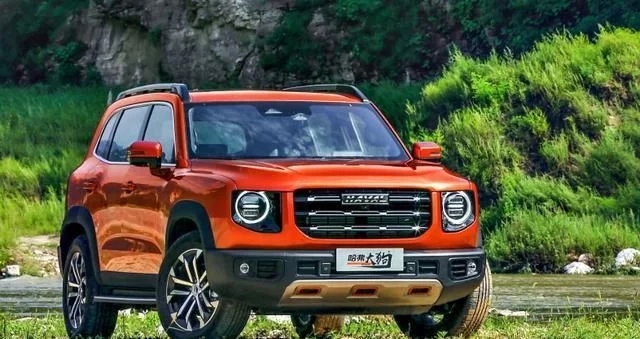 拉布拉多一窝13只哈士奇,哈士奇和拉布拉多哪个贵