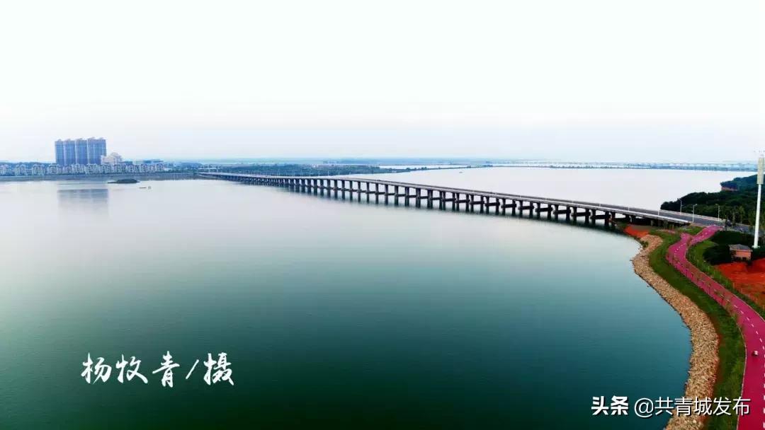 从a到z的成长,从a到z爱上茶的理由