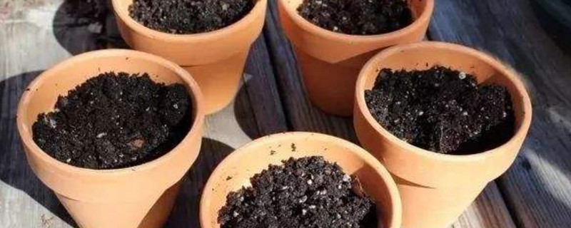 怎样把黄土改变成黑土,怎样把黄土变田园土