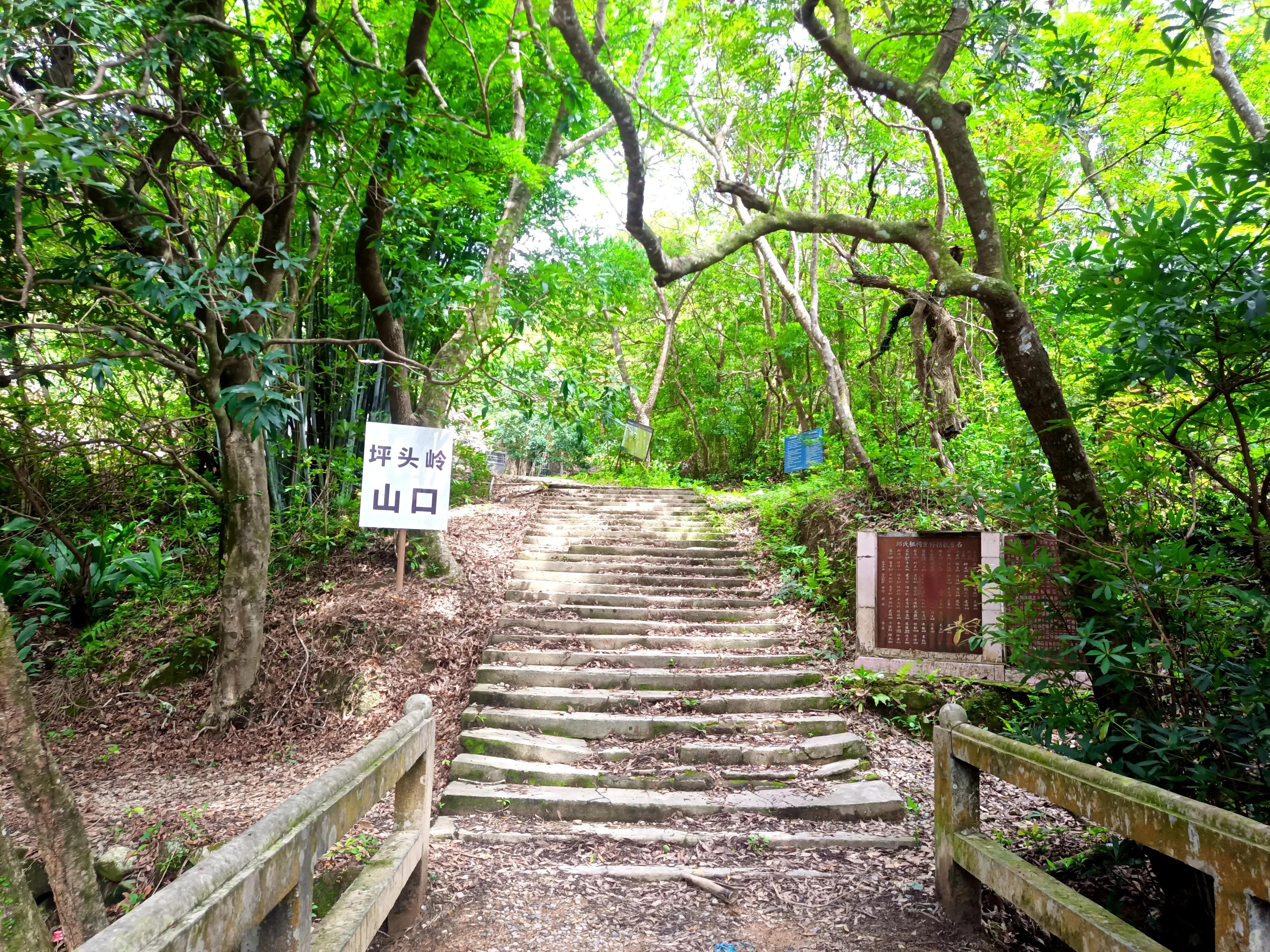 情人谷深圳,深圳情人谷绝情谷