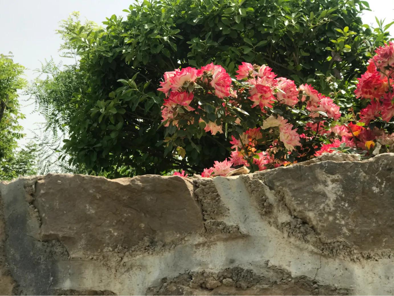 2024好书推荐排行榜沉思录,听书生命沉思录