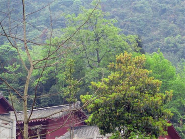 花水湾最有特色的自驾游路线攻略推荐