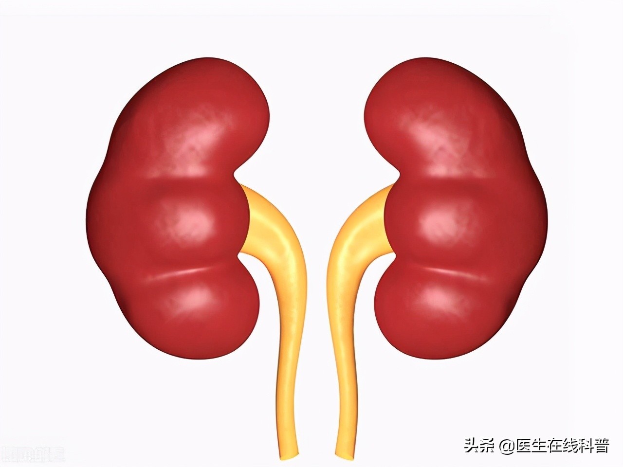 男子患尿毒症家人无一人帮他,尿蛋白肾炎中医有治愈的案例吗