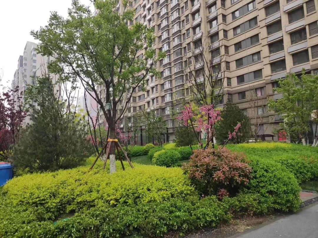 10999元起！学校+双公园+地铁！济南东站成熟大盘再扔价格*弹炸**！