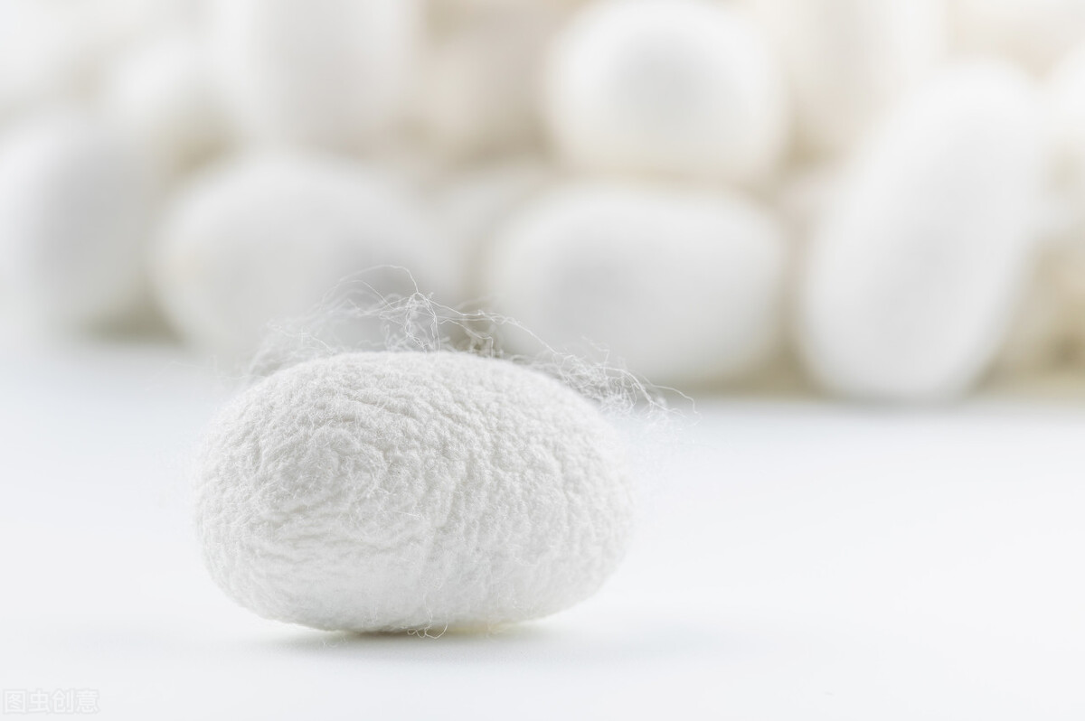 桑蚕丝衣服的优缺点有哪些,桑蚕丝和棉混纺的面料优缺点