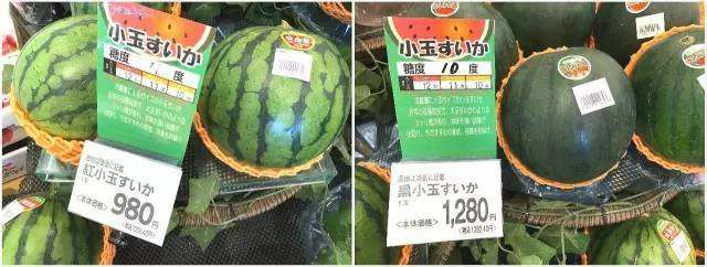 青汁蔬菜粉是智商税吗,青汁是智商税吗能减肥吗