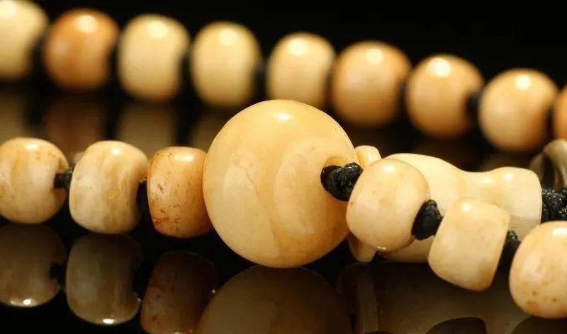 果然万物皆可治愈,果然万物皆有灵性