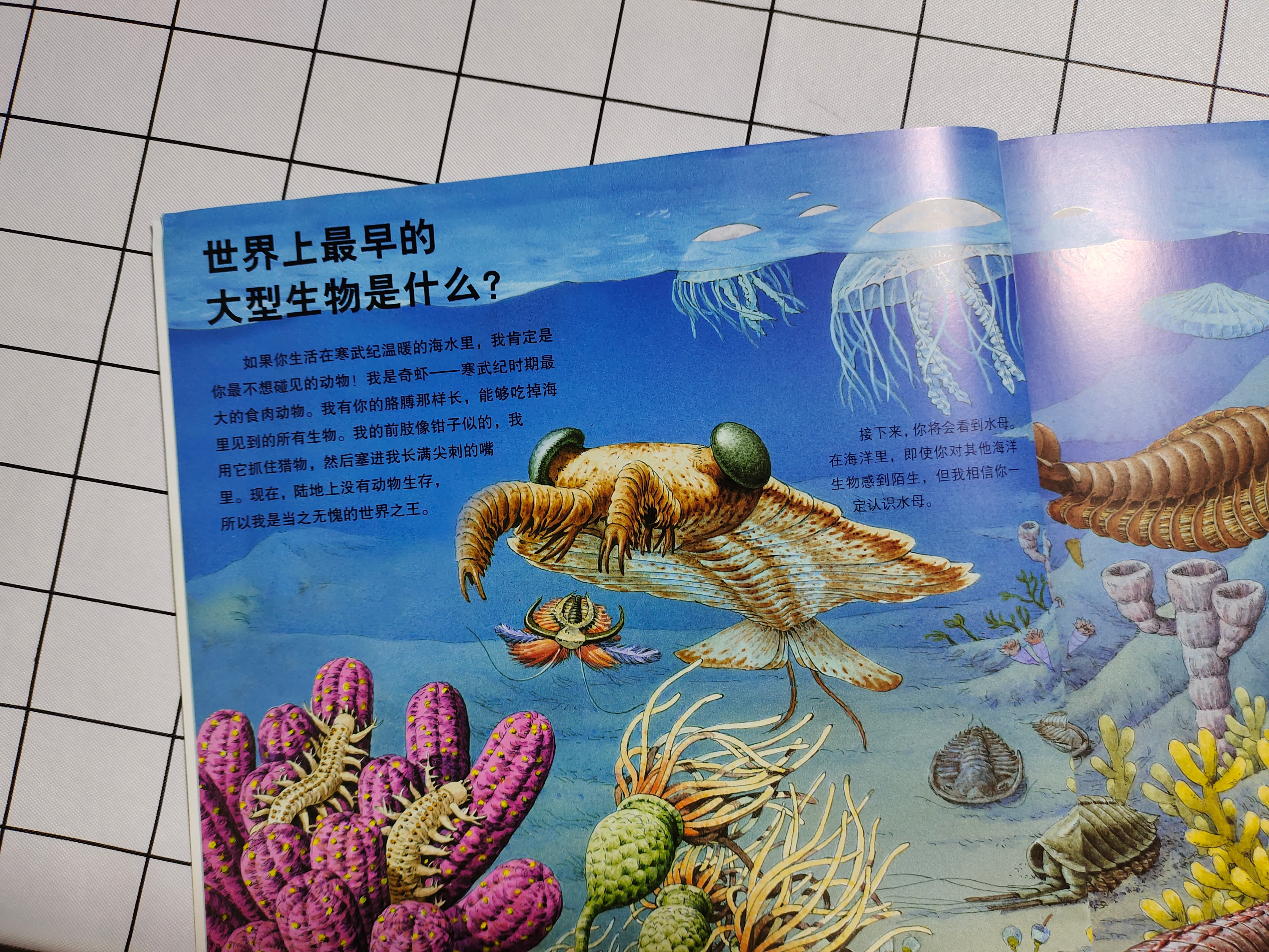 世界上知识点最全的恐龙百科全书,恐龙百科全书恐龙世界的无穷奥秘