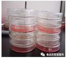 微生物的选择培养接种方法,微生物选择培养的对照处理方法
