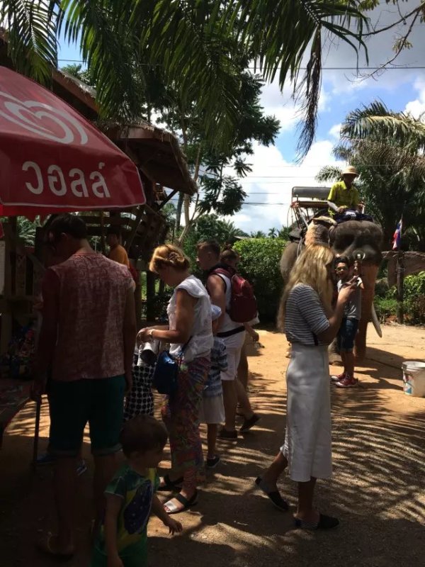 有生之年一定要再去一趟,泰国普吉岛值得去的地方