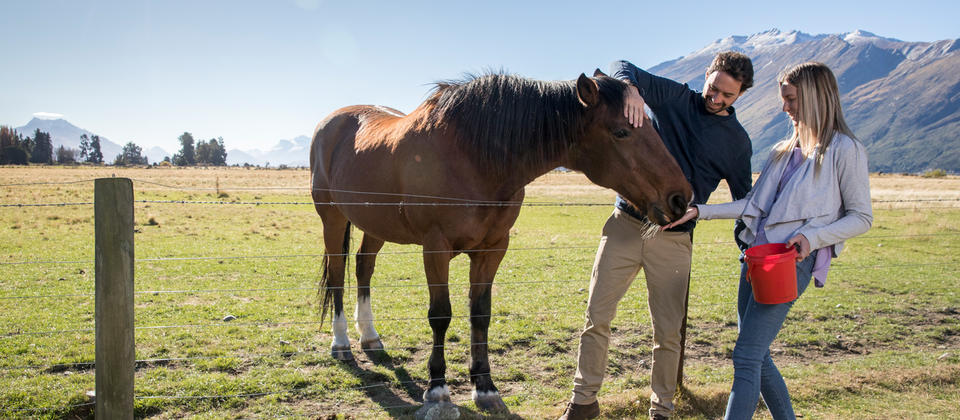 新西兰是最早日出的国家吗,新西兰日出最早的地方