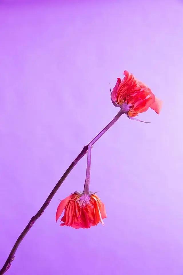 9平米花店,有4间铺面开花店怎样设计