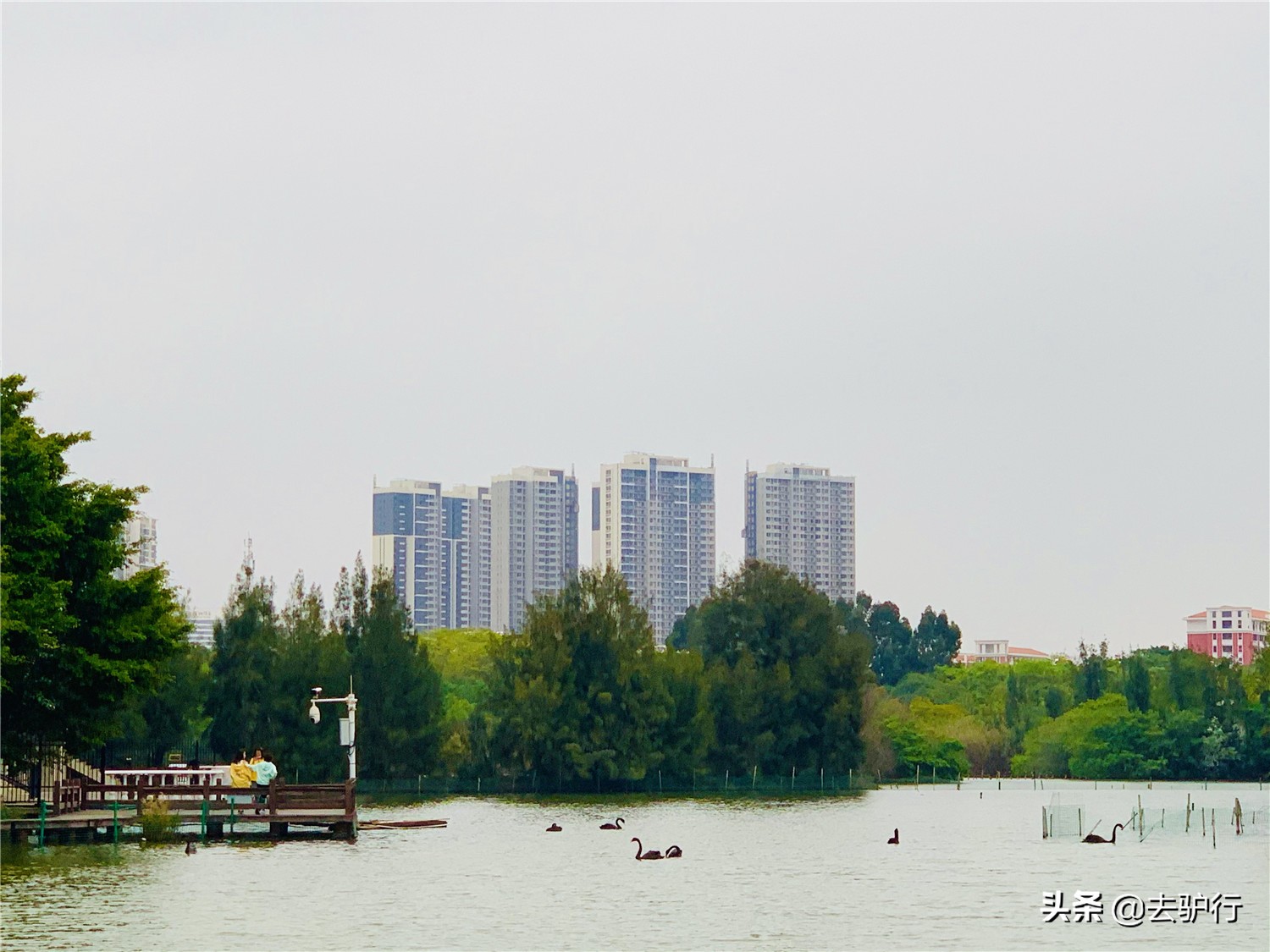 厦门富人区房屋,厦门富人村