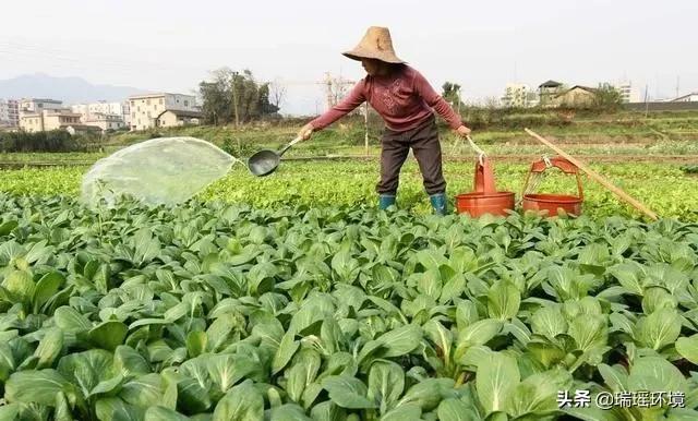 农村厕所改造最新政策,旅游厕所和农家乐户厕建设改造