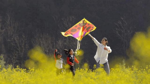 陕西秦岭最美的小城在哪里,秦岭深处的小县城暗藏着绝美秋色