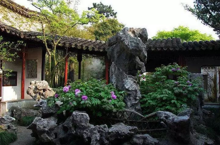 山花野鸟｜园林花语