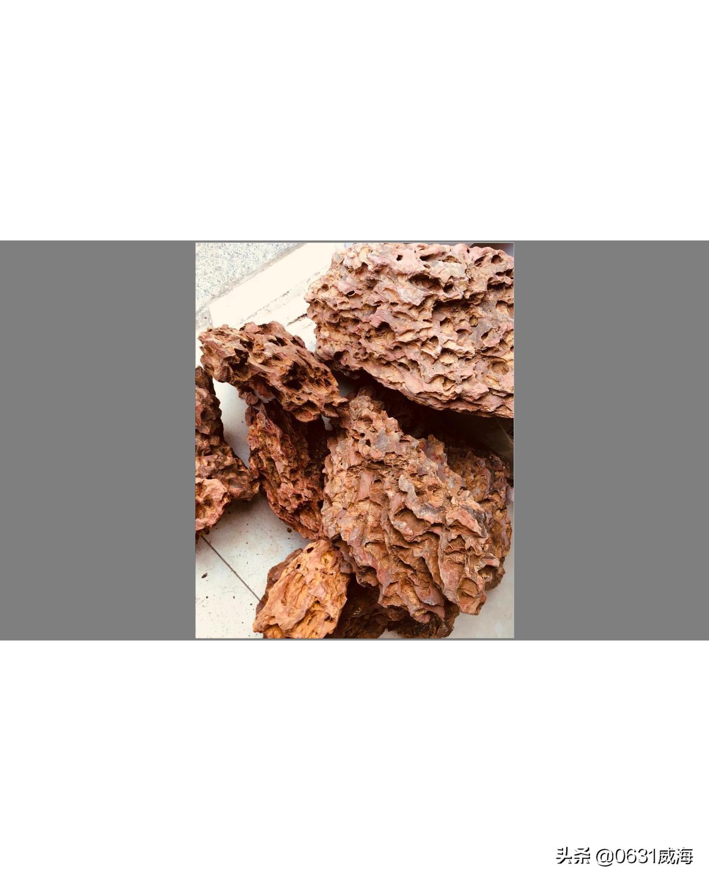 松皮石水草缸造景教程,水陆缸造景用松皮石好还是青龙石