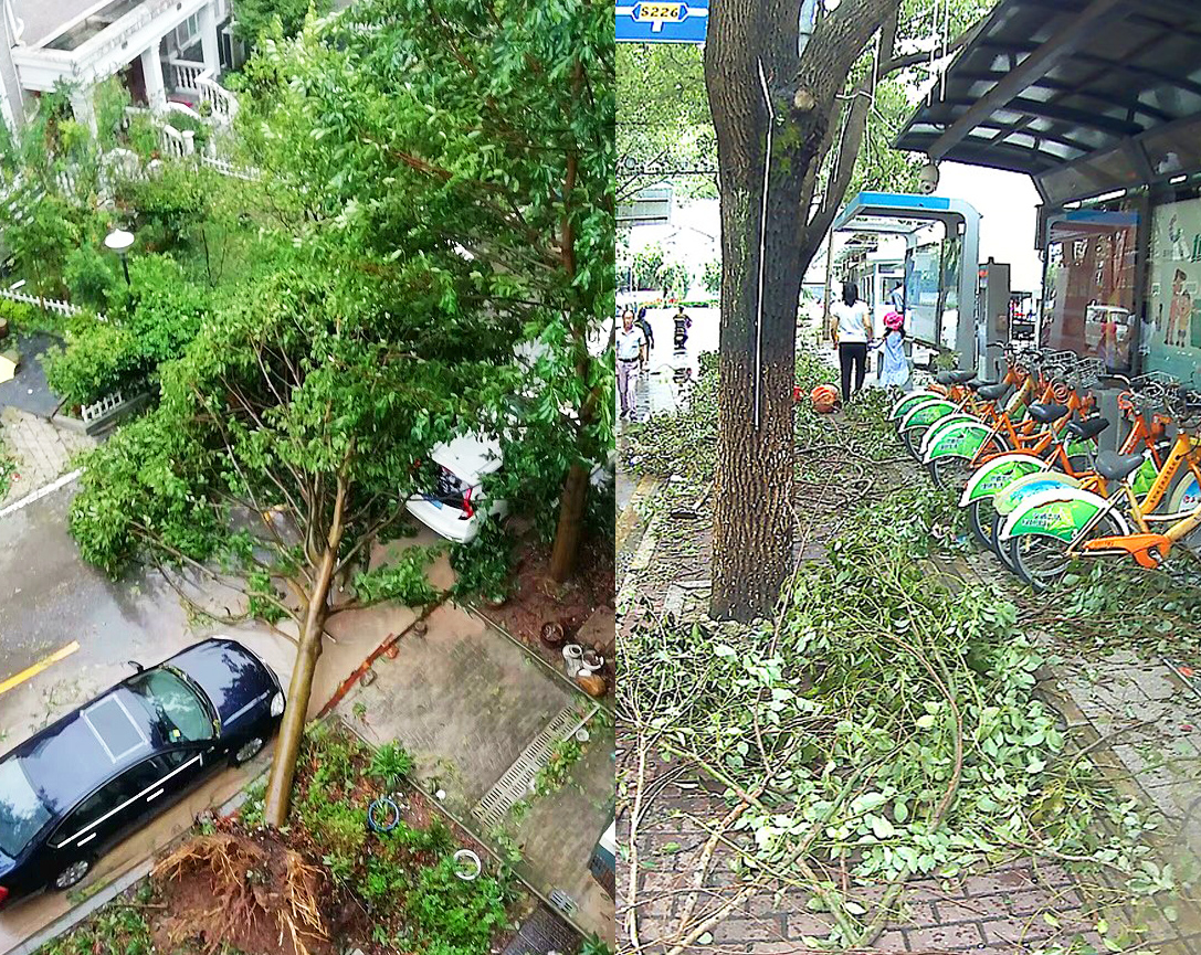 台风烟花要来了,台风烟花来了要准备什么