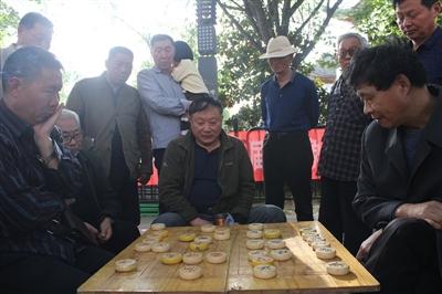 公园老大爷摆的棋,公园大爷象棋水平多高