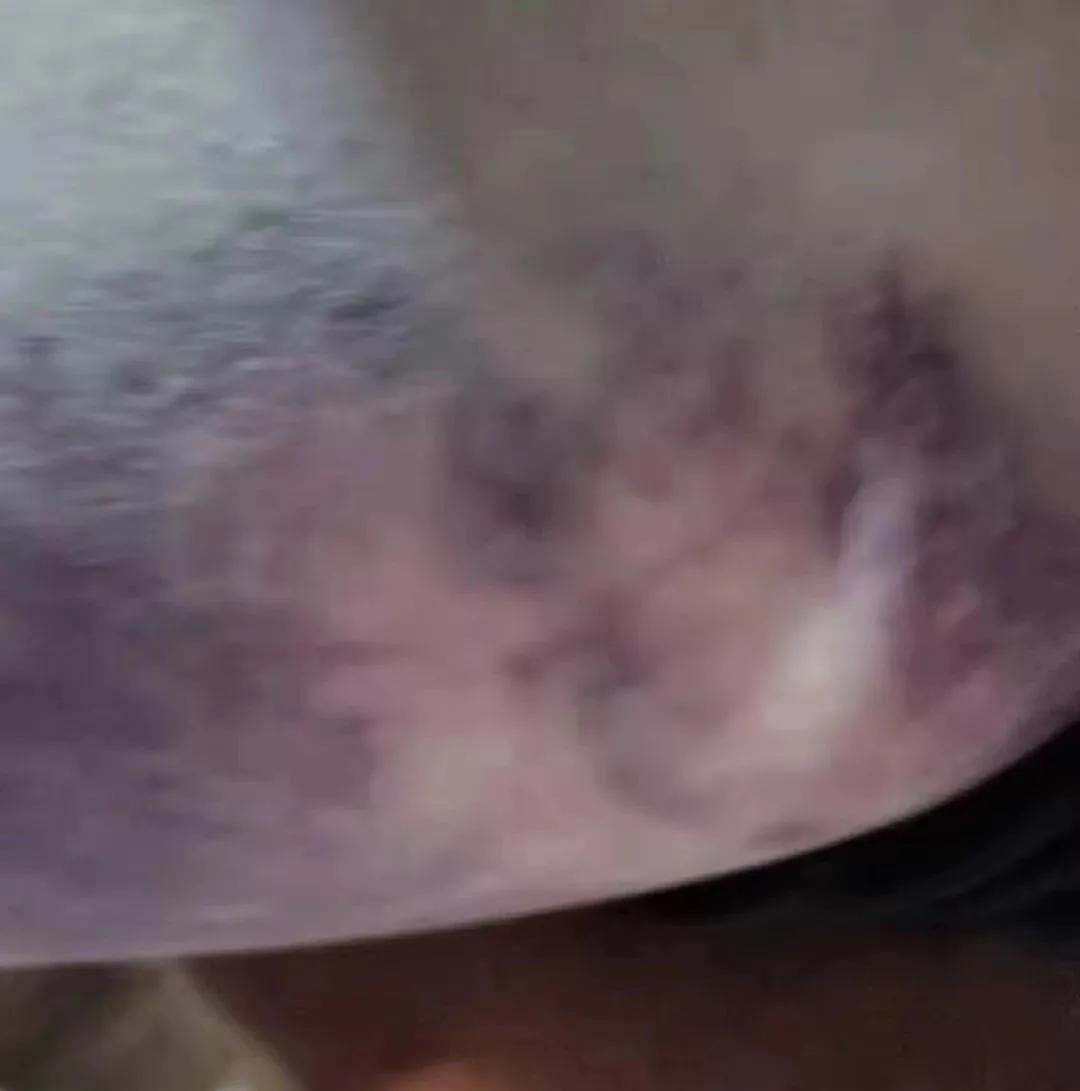 家长打断木衣杆暴打小孩事件,三名学生木棍暴打少年