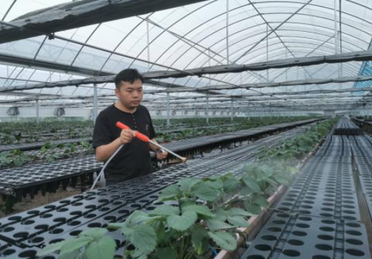 “冷专业”不冷！安徽农学毕业生的“热”力人生