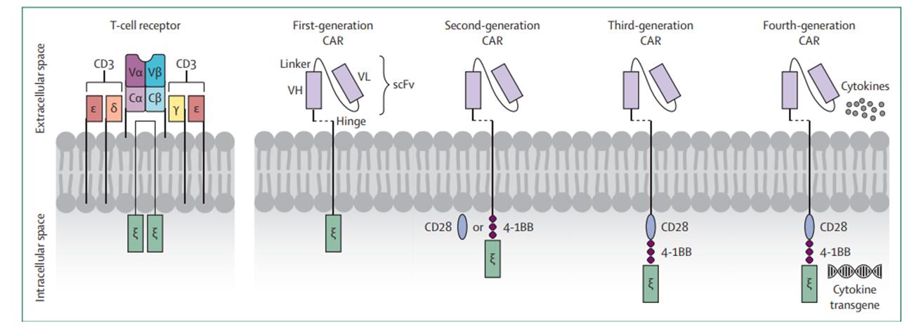 组织细胞肉瘤中医治疗效果,干细胞治疗软组织肉瘤的效果怎样