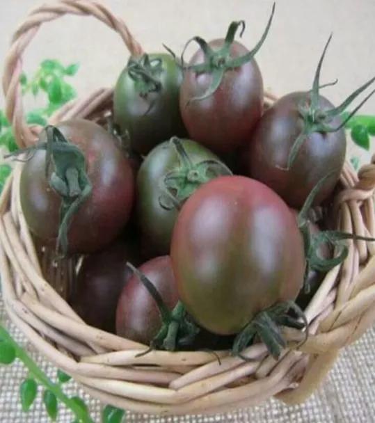 端午食博会暨特色农产品展13日开幕！绵乐眉成达资都来了