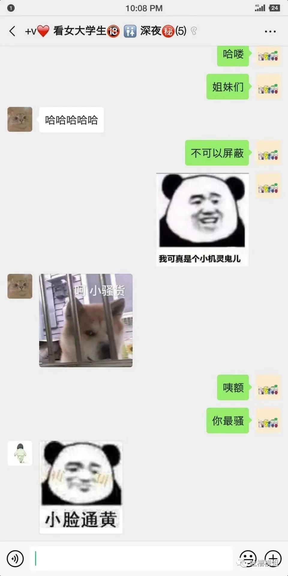 大学生宿舍群名有多野,大学生宿舍的奇葩群