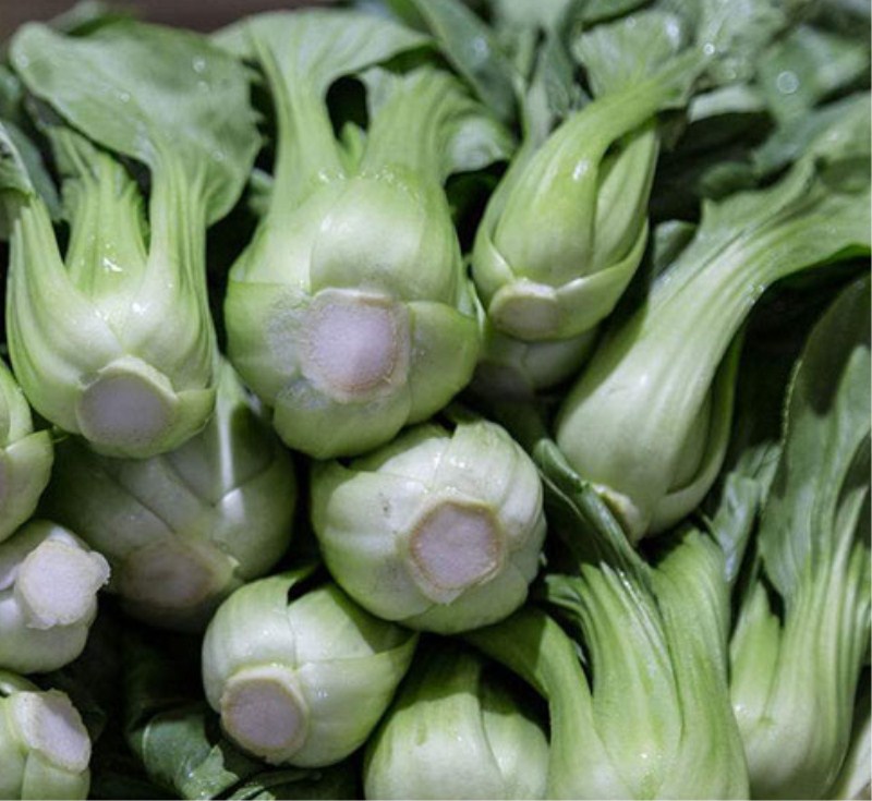 上海青耐寒小青菜鸡毛菜种植时间田间管理技术,分享头条友友们