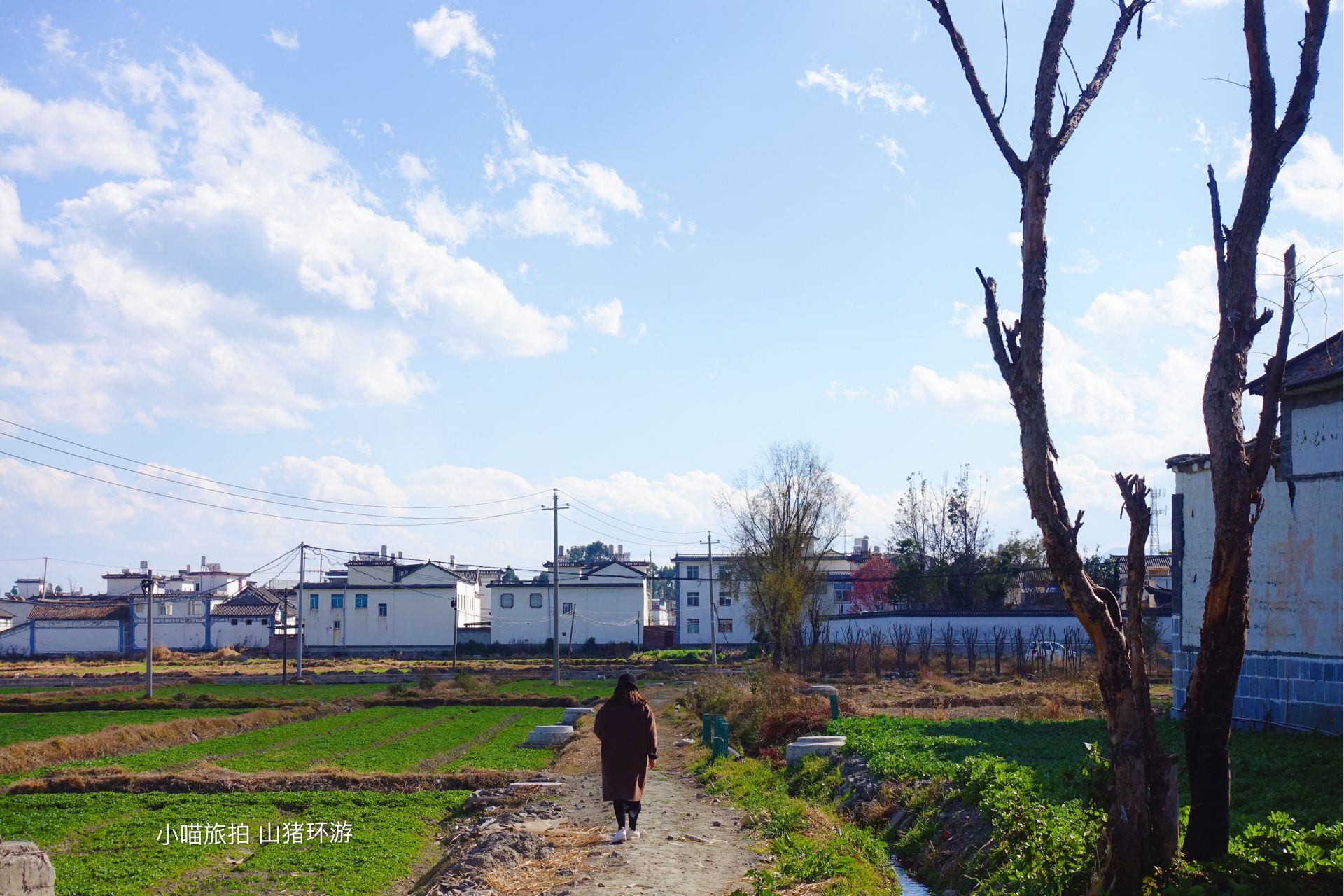 在云南开了一家客栈,80后在云南开客栈